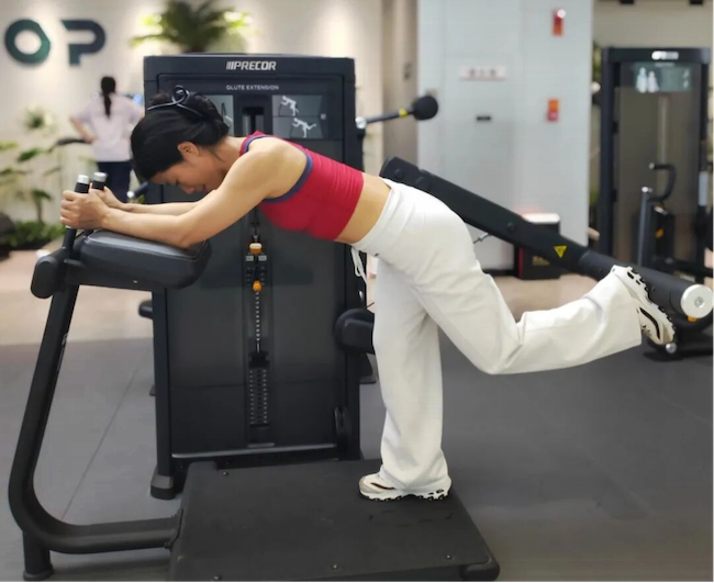 Gym Equipment Names Explained for First-Time Commercial Buyers Gym Equipment Names Explained for First-Time Commercial Buyers