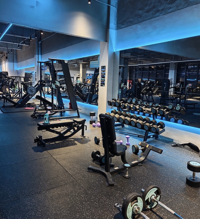 Plate-Loaded or Selectorized Machines? How to Decide for Your Gym Plate-Loaded or Selectorized Machines? How to Decide for Your Gym