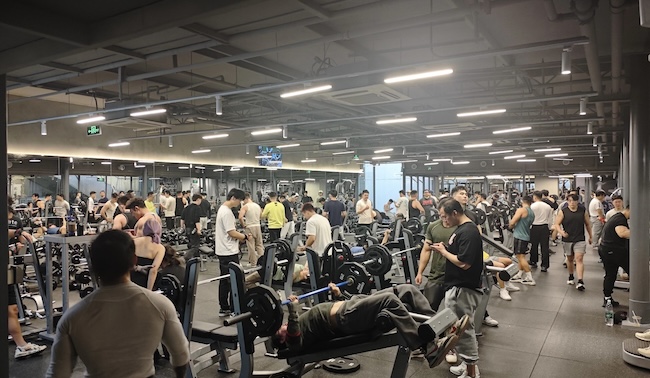 Plate-Loaded or Selectorized Machines? How to Decide for Your Gym Plate-Loaded or Selectorized Machines? How to Decide for Your Gym