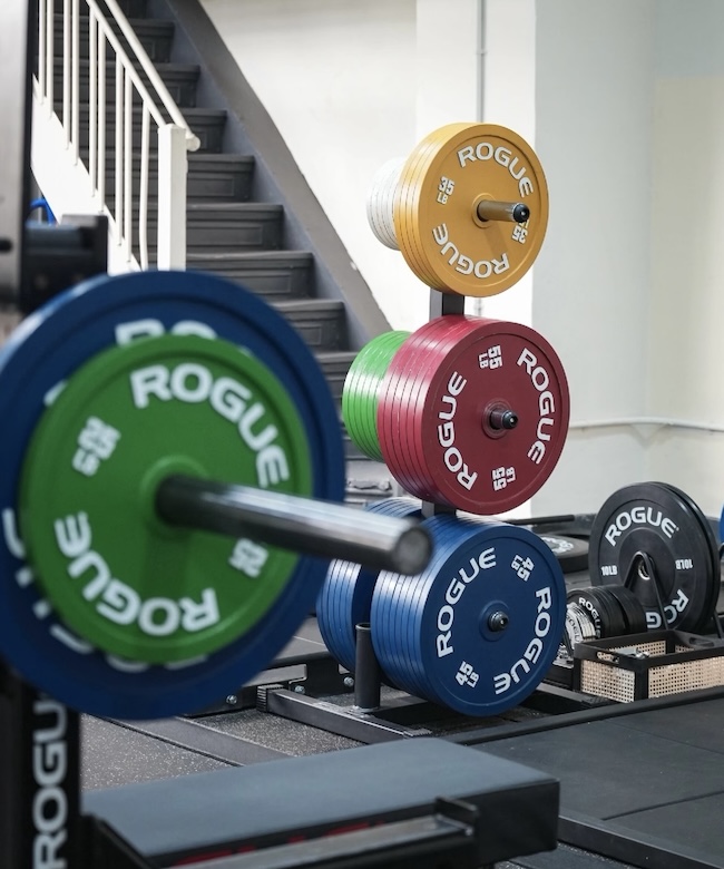 Plate-Loaded or Selectorized Machines? How to Decide for Your Gym Plate-Loaded or Selectorized Machines? How to Decide for Your Gym