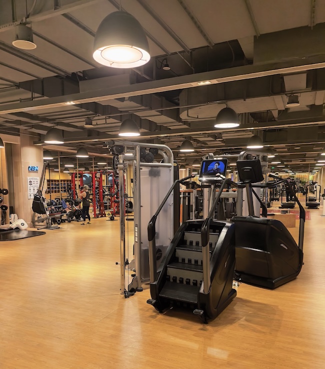 Plate-Loaded or Selectorized Machines? How to Decide for Your Gym Plate-Loaded or Selectorized Machines? How to Decide for Your Gym