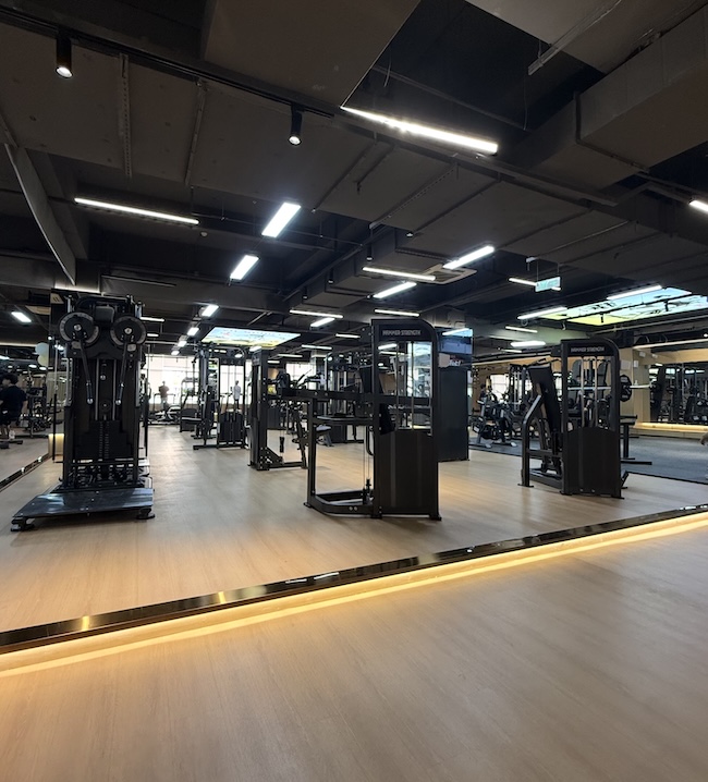 Plate-Loaded or Selectorized Machines? How to Decide for Your Gym Plate-Loaded or Selectorized Machines? How to Decide for Your Gym