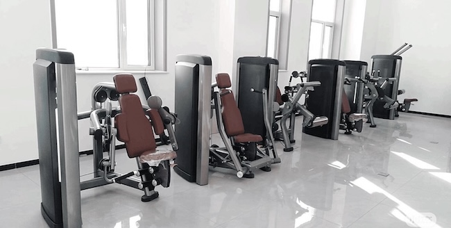 English and Arabic Gym Equipment Names for Saudi Buyers: What to Buy—and What Overlaps
